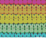 ~ SugarSquad ~