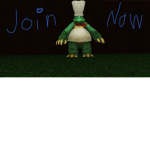 Turtle Raiders