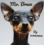 Mr. Bruce