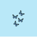 Violets are blue squad!
