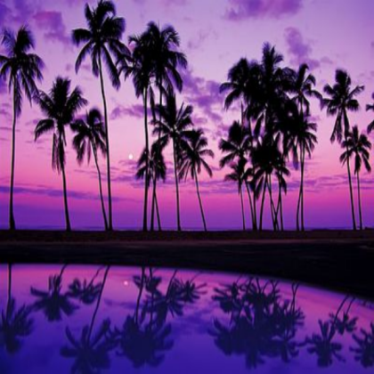 Purple Sunset Roblox decal