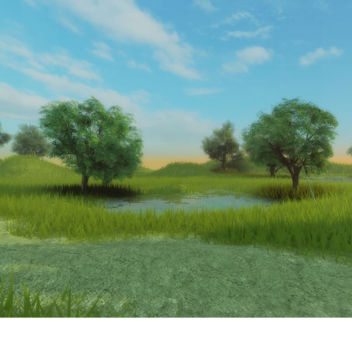 Bright Forest (Birthday Update)