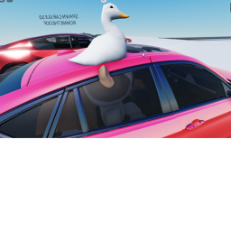 車を運転する