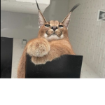 Vervė