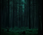 The Harmony Forest