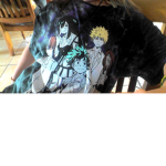 animae people rule my hero acidamia