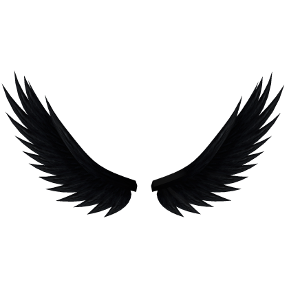 Black Angel Wings