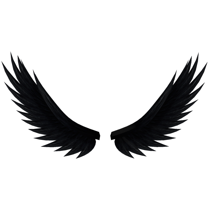 Black Angel Wings