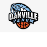 Venom Basketball League