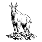Mountain Goat Expeditions