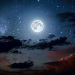 The Moon Mafia