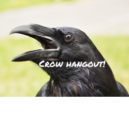 💥Crow HangOut 💥