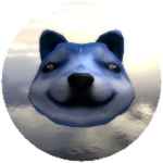 Derp Doge Of Illusions