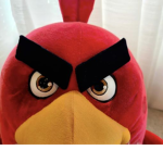 anger birds