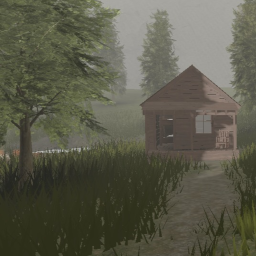 the forest