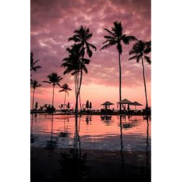 Island for Chilling