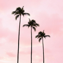 𝙄 𝙨𝙬𝙚𝙖𝙧