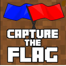 Capture the flag!!