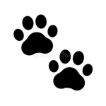 Amazing Animal Army!