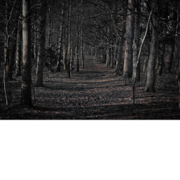[BACKROOMS UPDATE] Escape The Creatures