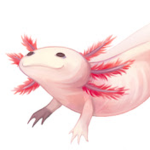 Official ItzAxolotlPlays Army