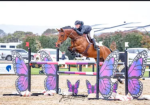 We learn together horse riding (wlt)