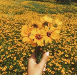 Flower wall~