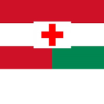 Austro-Hungarian Regiment of Medics