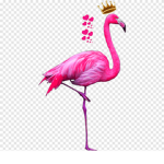 flamingo team!!!