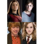 Harry Potter fan group ReEeEeEe