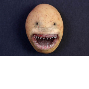 CMETAHKA_QWERTY435578