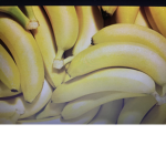 Bananana Squad Productions