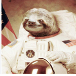 Galactic Sloths