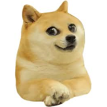 Doges family