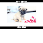 D.A Doggo Army