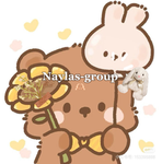Naylas-group