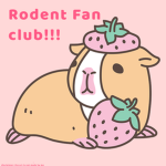 Rodent Fan Club!!!
