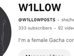 Willow’s flowers !
