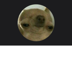 Dogs give robux
