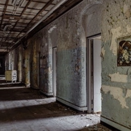The Asylum