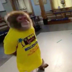 Baka MONKEY