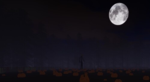 Edvorts Family Pumpkin Patch