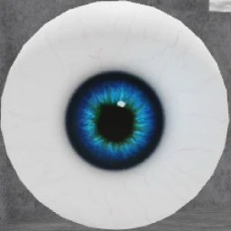 Cathedral Verification icon