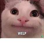 - WELP -