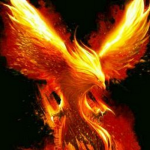 fire team like