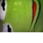 MEME COCOMELON
