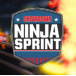 Ninja Spirit: Backdown (Awesome Access)