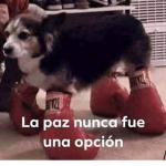 Los ma’ choros