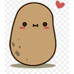 Potato potato group :]