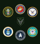 RIC - IRL Veterans